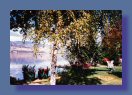 Bella Home Penticton