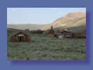 Bodhi Nevada